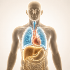 Glutathione Support